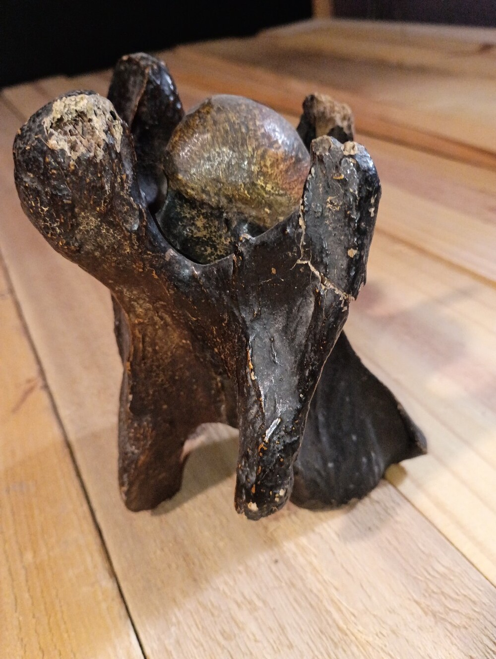 Wesley Bone - Picture 4 of 5